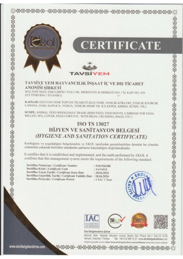 ISO TS 13027