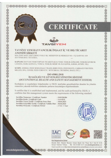 ISO 45001:2018